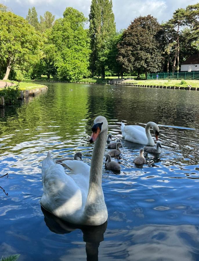 Beddington Park Lodge Wallington Buitenkant foto