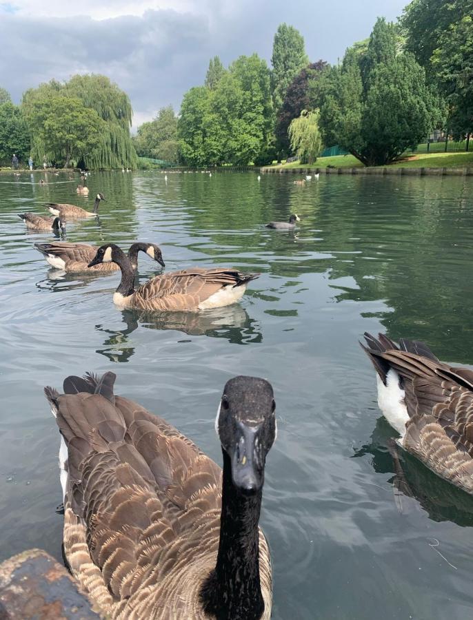 Beddington Park Lodge Wallington Buitenkant foto