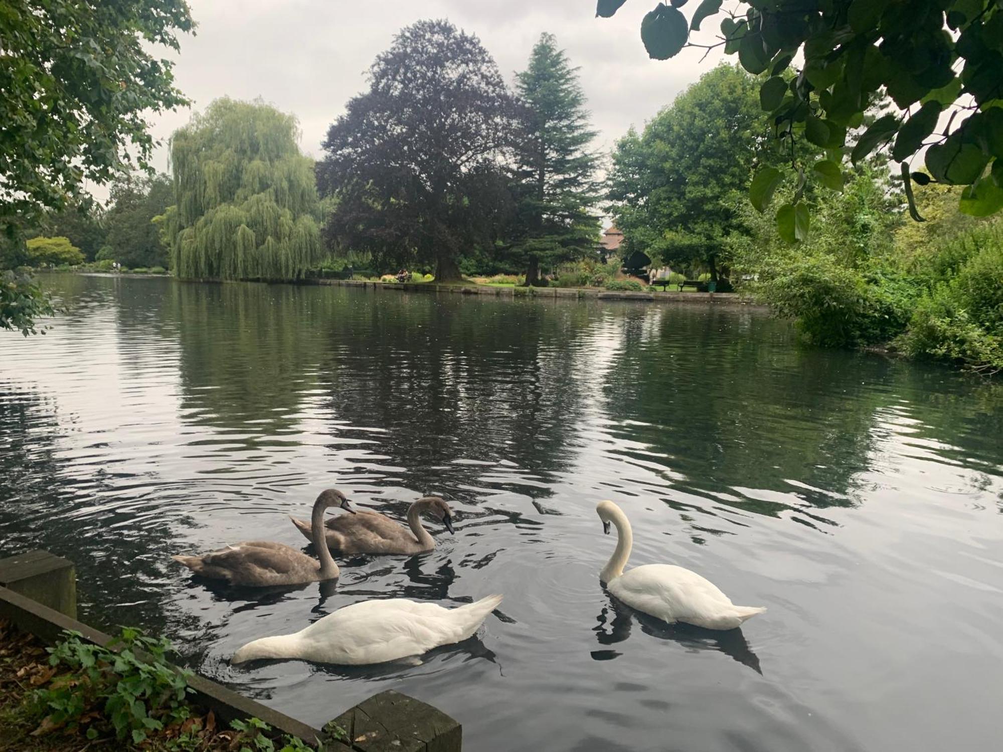 Beddington Park Lodge Wallington Buitenkant foto